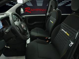FIAT Panda usata 11