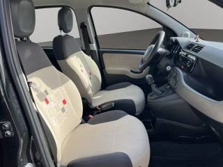 FIAT Panda usata 8