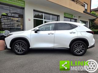 LEXUS NX 350h usata, con Cruise Control