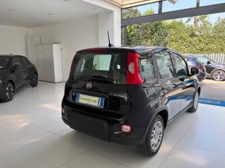 FIAT Panda usata, con Boardcomputer
