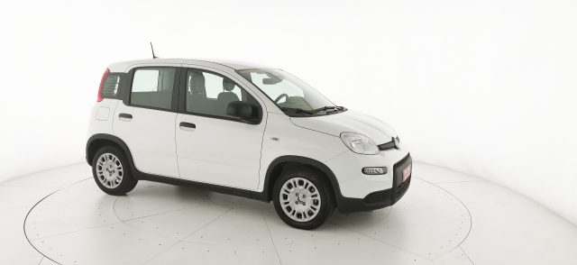 FIAT Panda usata, con Airbag testa
