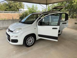 FIAT Panda usata 45