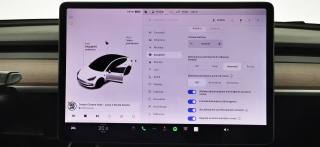TESLA Model 3 usata 74