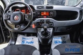 FIAT Panda usata 23