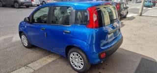 FIAT Panda usata, con Airbag Passeggero