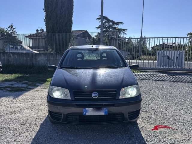 FIAT Punto usata 0