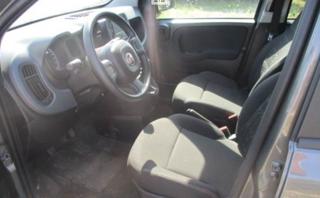 FIAT Panda usata, con Chiusura centralizzata