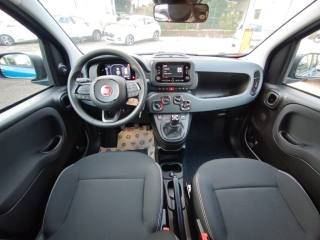FIAT Panda usata, con Cruise Control