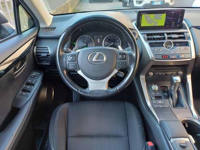 LEXUS NX 300 usata, con Fendinebbia