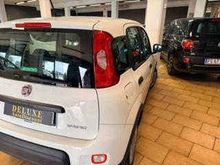 FIAT Panda usata, con Airbag Passeggero