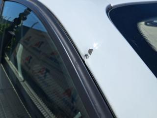 RENAULT Twingo usata, con Specchietti laterali elettrici