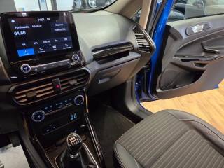 FORD EcoSport usata, con Fendinebbia