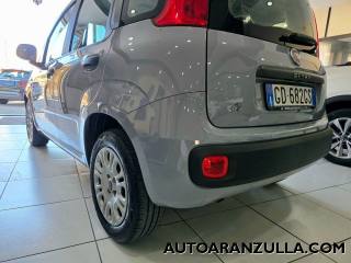 FIAT Panda usata 17