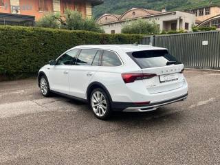 SKODA Octavia usata, con Antifurto