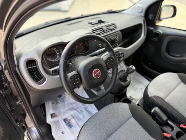 FIAT Panda usata 14