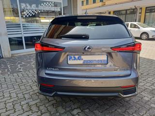 LEXUS NX 300 usata, con Fendinebbia