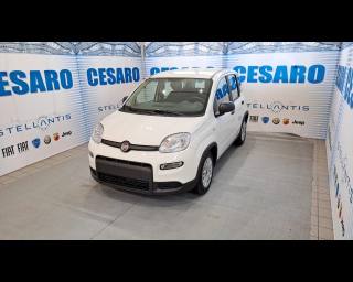 FIAT New Panda usata, con Airbag laterali