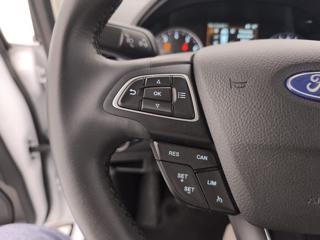 FORD EcoSport usata, con Fendinebbia