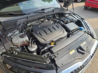 SKODA Octavia usata 137