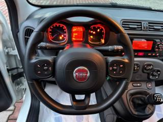 FIAT New Panda usata, con Controllo trazione