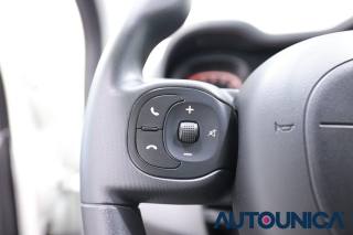 FIAT Panda Cross usata, con USB