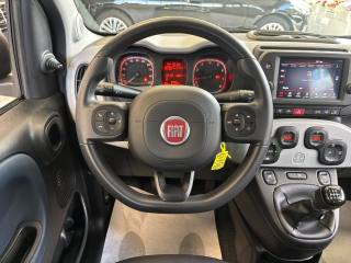 FIAT Panda usata, con ESP