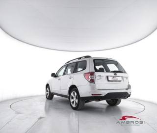 SUBARU Forester usata 3