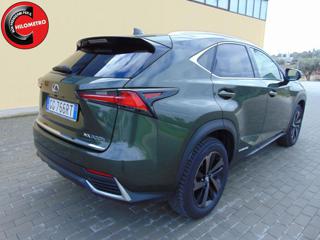 LEXUS NX 300 usata, con Alzacristalli elettrici