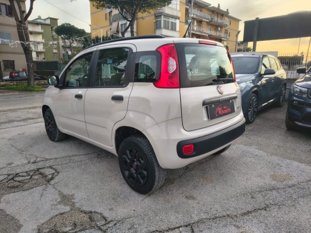 FIAT Panda usata, con Chiusura centralizzata