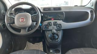 FIAT Panda usata, con Climatizzatore