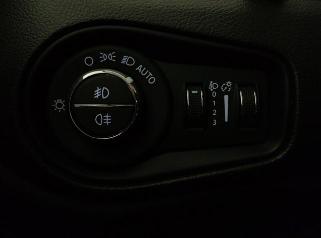 JEEP Renegade usata, con Controllo automatico clima