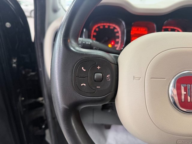 FIAT Panda usata 21