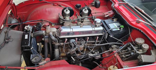 TRIUMPH TR4 usata 6