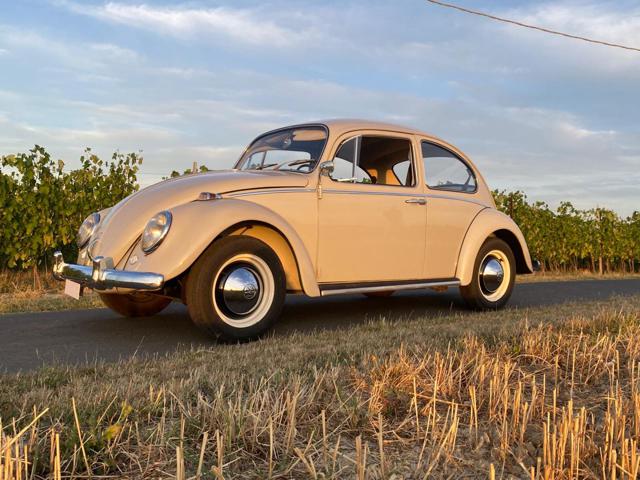 VOLKSWAGEN Maggiolino usata 0