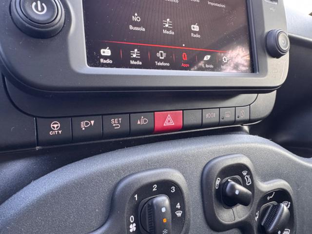 FIAT Panda Cross usata, con Airbag testa