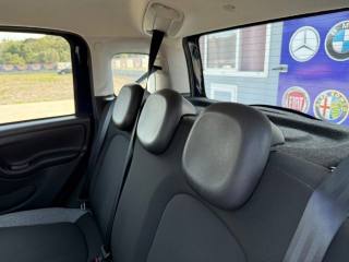 FIAT Panda usata 19