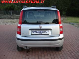 FIAT Panda usata 6