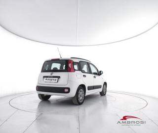 FIAT Panda usata 2