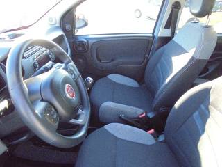 FIAT Panda usata 21