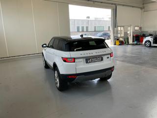 LAND ROVER Range Rover Evoque usata, con Alzacristalli elettrici