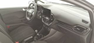 FORD Fiesta usata 43