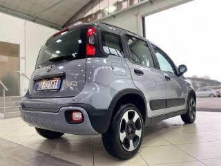 FIAT Panda Cross usata, con Android Auto