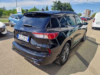 FORD Kuga usata, con Alzacristalli elettrici