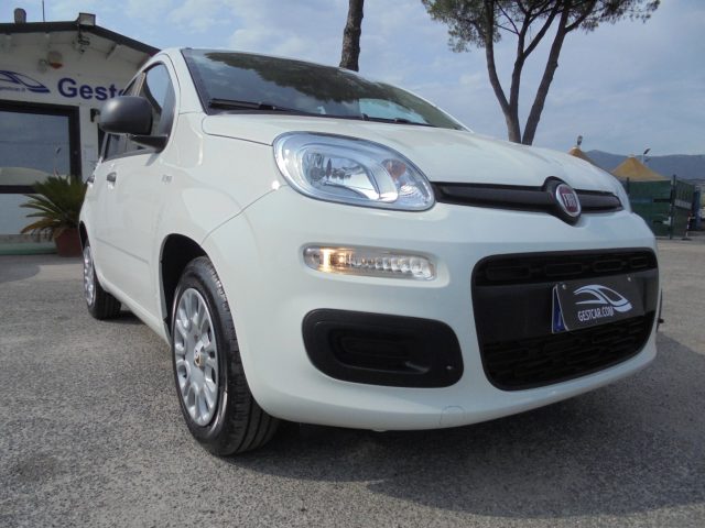 FIAT Panda usata 16