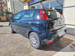FIAT Punto usata, con Airbag Passeggero