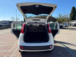 FIAT New Panda usata, con Chiusura centralizzata telecomandata