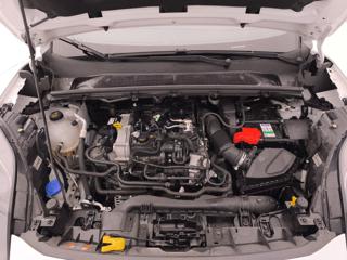 FORD Puma usata, con Specchietti laterali elettrici