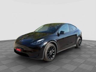 TESLA Model Y Model Y RWD