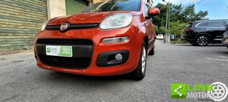 FIAT Panda usata 12