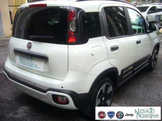 FIAT Panda Cross usata, con Controllo trazione